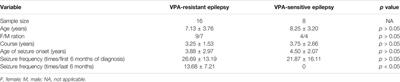 MicroRNA-221-3p Suppresses the Microglia Activation and Seizures by Inhibiting of HIF-1α in Valproic Acid-Resistant Epilepsy